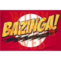 Big Bang Theory Bazinga